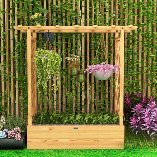 Raised Garden Bed With Trellis Or Climbing Plant And Hanging Roof