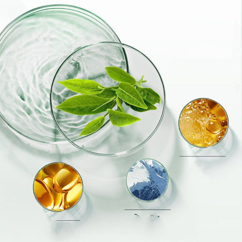 Green Tea Solid Mud Moisturizing Mask