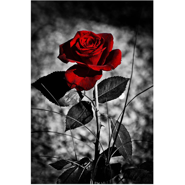 Modern Painting Art Rose Flower Poster Wall Art